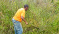 Belize Territorial Volunteers Clear Border-22 (Photo 4 of 23 photo(s)).