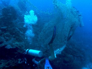 Ghost net on the reef