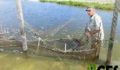 ACES-Tortured-Croc-3 (Photo 14 of 16 photo(s)).