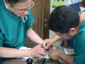 Juvenile Hawksbill Turtle Amputation (1)