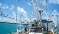 Oceana donates Trawler to Placencia-11 (Photo 10 of 14 photo(s)).