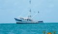 Oceana donates Trawler to Placencia-9 (Photo 12 of 14 photo(s)).
