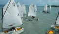 2013 Lobsterfest Regatta-17 (Photo 5 of 17 photo(s)).