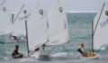 2013 Lobsterfest Regatta-5 (Photo 17 of 17 photo(s)).
