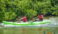Eco Challenge Kayak Race-20 (Photo 31 of 47 photo(s)).