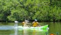 Eco Challenge Kayak Race-23 (Photo 28 of 47 photo(s)).