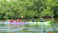 Eco Challenge Kayak Race-24 (Photo 27 of 47 photo(s)).
