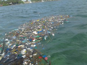 Caye Caulker Garbage2