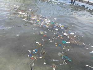 Caye Caulker Garbage4