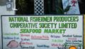 Fishermen's Cooperative-3 (Photo 2 of 4 photo(s)).