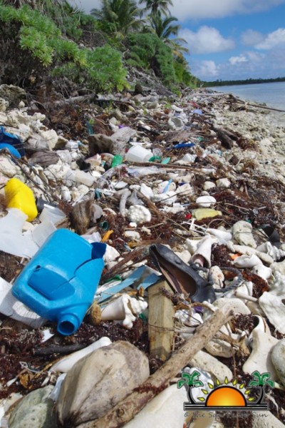 Beach Cleanup Coastal-1