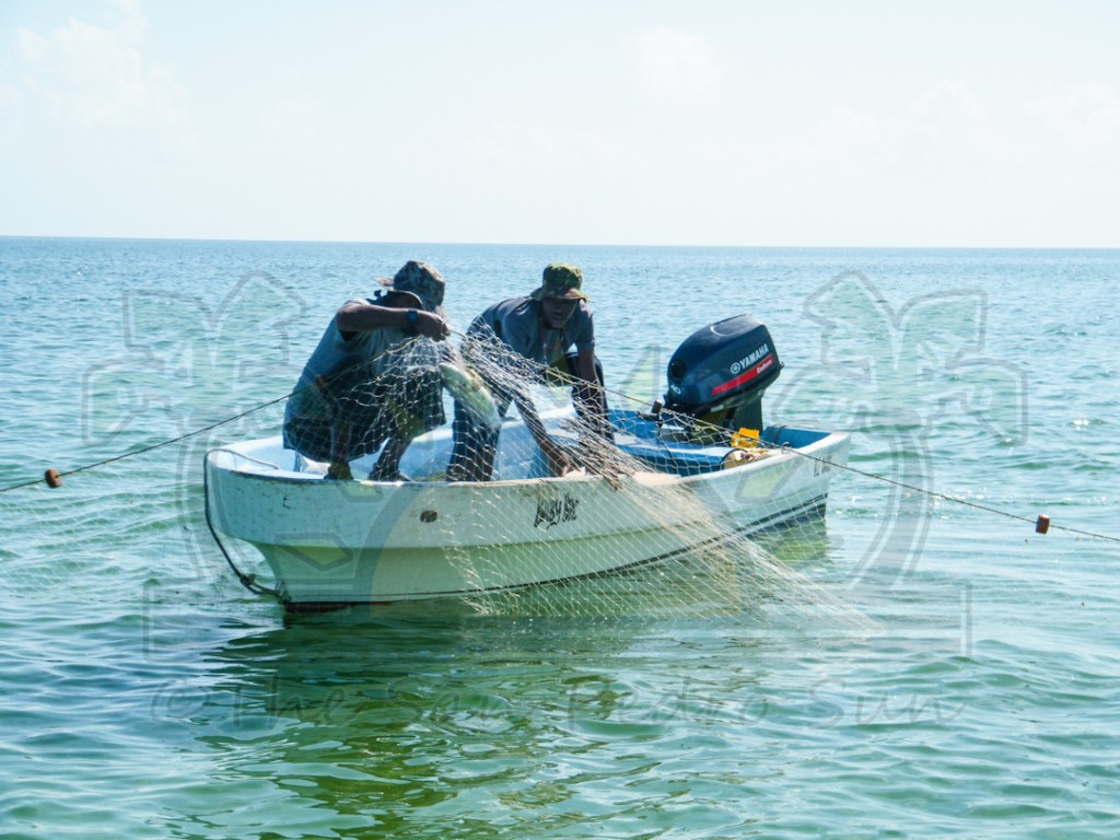 The Belize Fisheries Department Enforcing Gill Net Registration