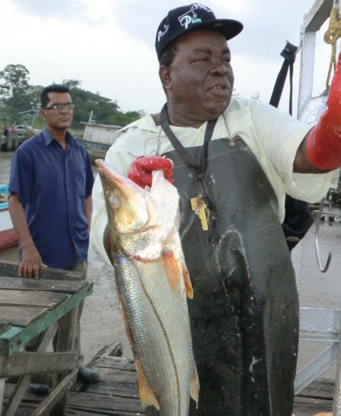 Fisheries Ministers consider Regional Coral Reef Plan of Action Friday ...