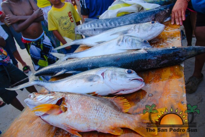 Dia de San Pedro Fishing Tournament-17