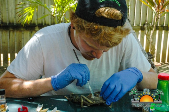 Scientific Study of Ambergris Caye Water-3