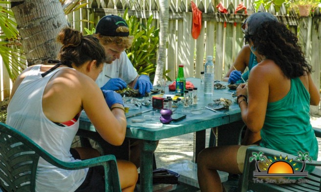 Scientific Study of Ambergris Caye Water-6