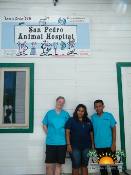 San Pedro Animal Hospital-2