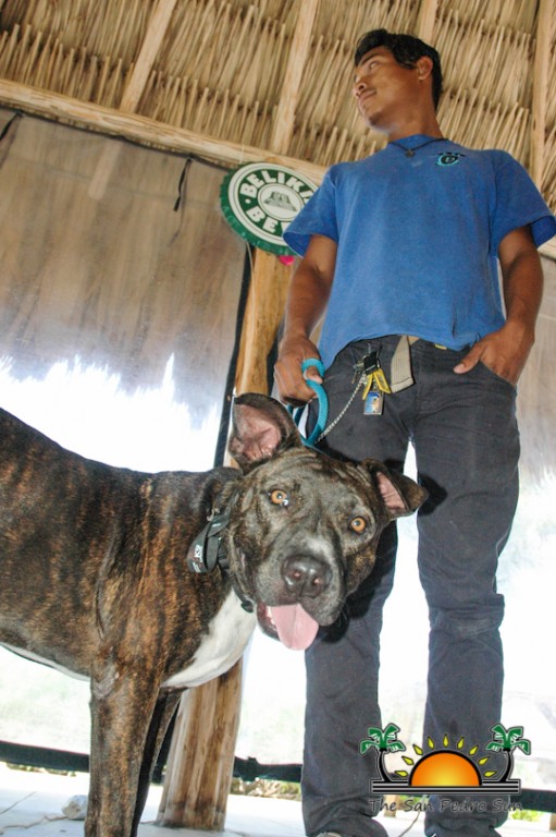 Dog trainers on cruise ship visit SAGA in San Pedro - The ...