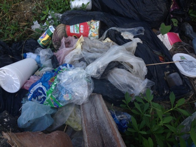 public garbage dump near me