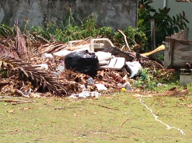 25 Vacant Lots being used as garbage dumps (2)