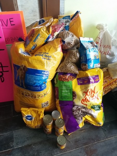 Food Drive (12)