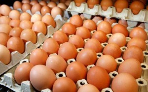 34 Chicken Eggs