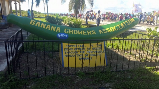 Banana Growers Protest