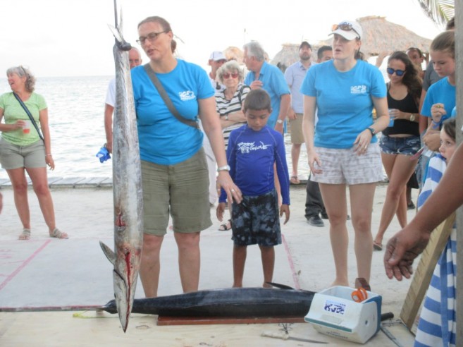 Rachel Graham MarAlliance Sampling Fish (1)