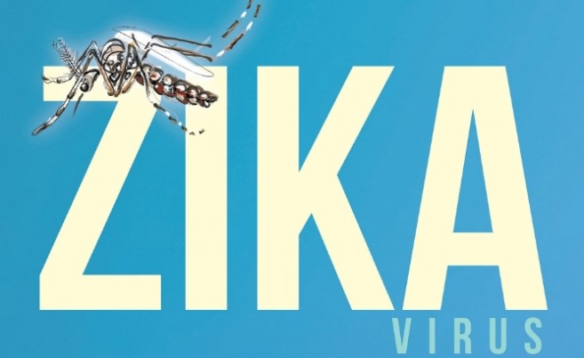 15 Zika virus