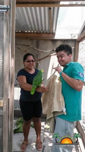 Parrot Inspection Belize Forestry Department Permits-2