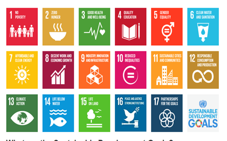 millennium development goals ukraine 2020