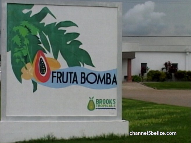 25 Fruta-Bomba0006