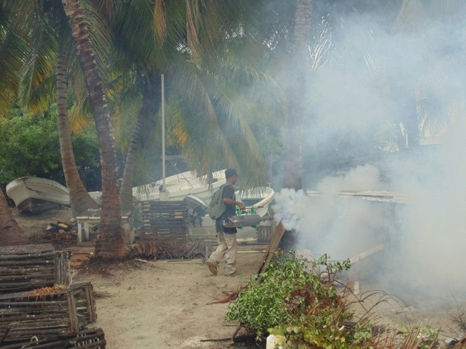 Caye Caulker Confirms Zika (4)