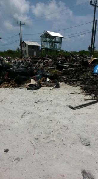 27 Fire Debris disposed in San Mateo (1)