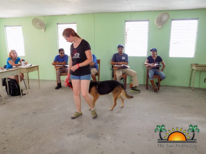 3d Workshop Dealing With Difficult Dogs Training-1