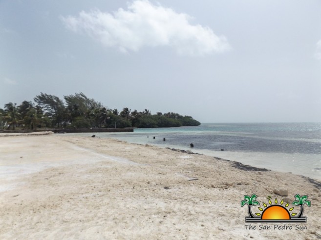 SPTC Beach Reclamation Boca Del Rio-1