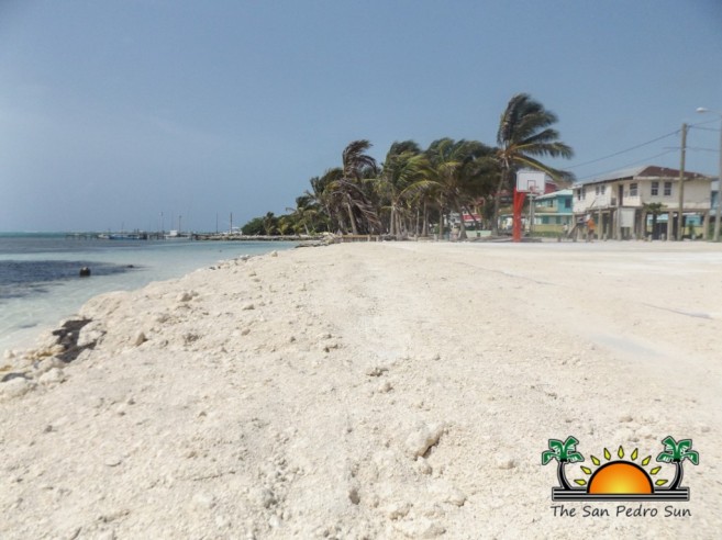 SPTC Beach Reclamation Boca Del Rio-2