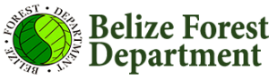 belize logo rising waters illegal hunting due valley river area forest bfd release press