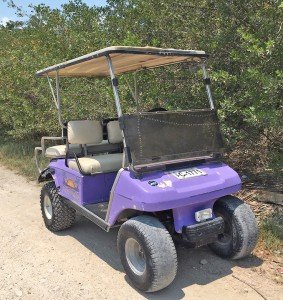 626-6802 Golf Cart For Sale