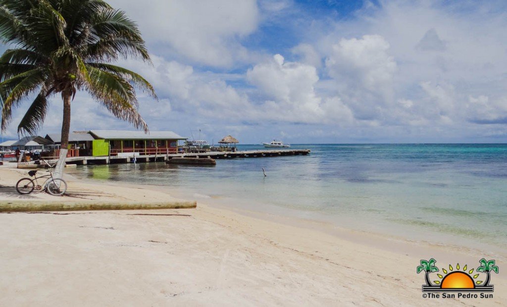 Sargassum; out of sight but not out of mind The San Pedro Sun