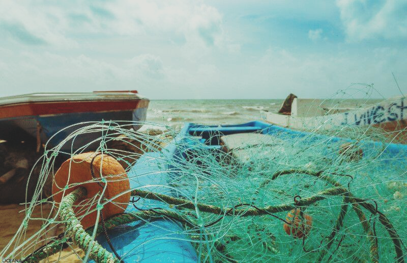 Gillnet fishing is now illegal in Belize; Ambergris Caye
