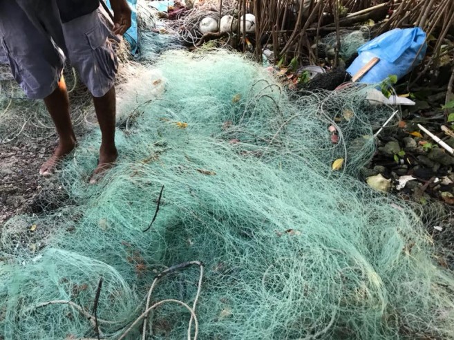 Gillnet fishing is now illegal in Belize; Ambergris Caye