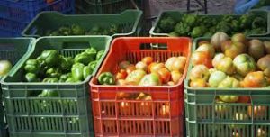 fruit veggie business covid 19