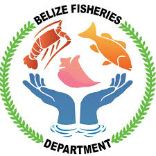 Gillnet fishing is now illegal in Belize; Ambergris Caye fisherfolks  support the ban - The San Pedro Sun