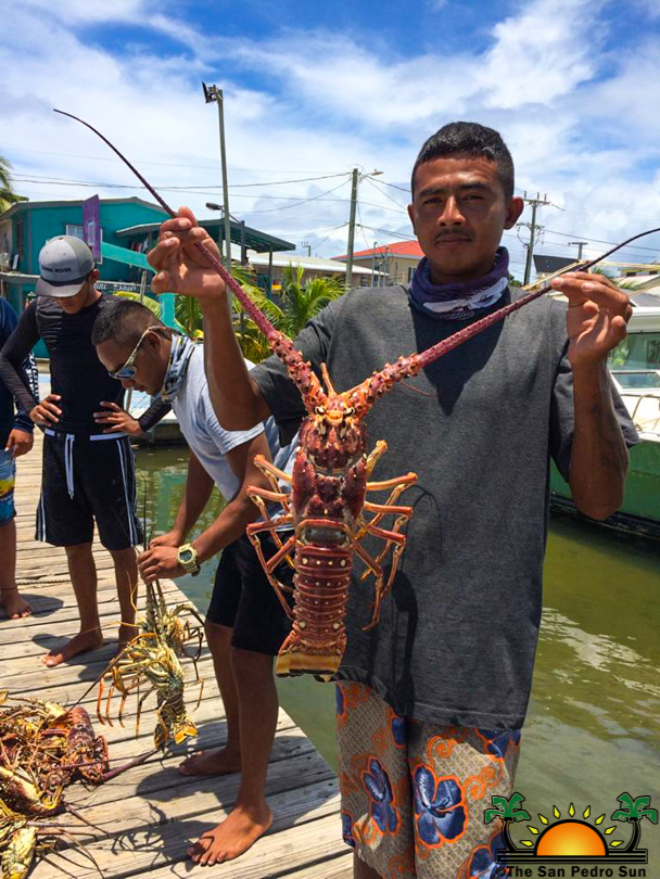 Lobster Season officially opens; Fishermen at odds with Fishing ...