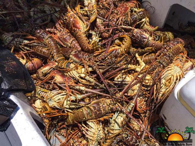 lobster season dates change