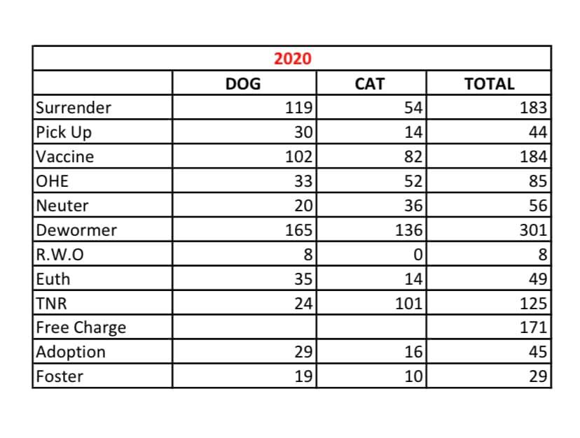 saga humane society statistics 2020