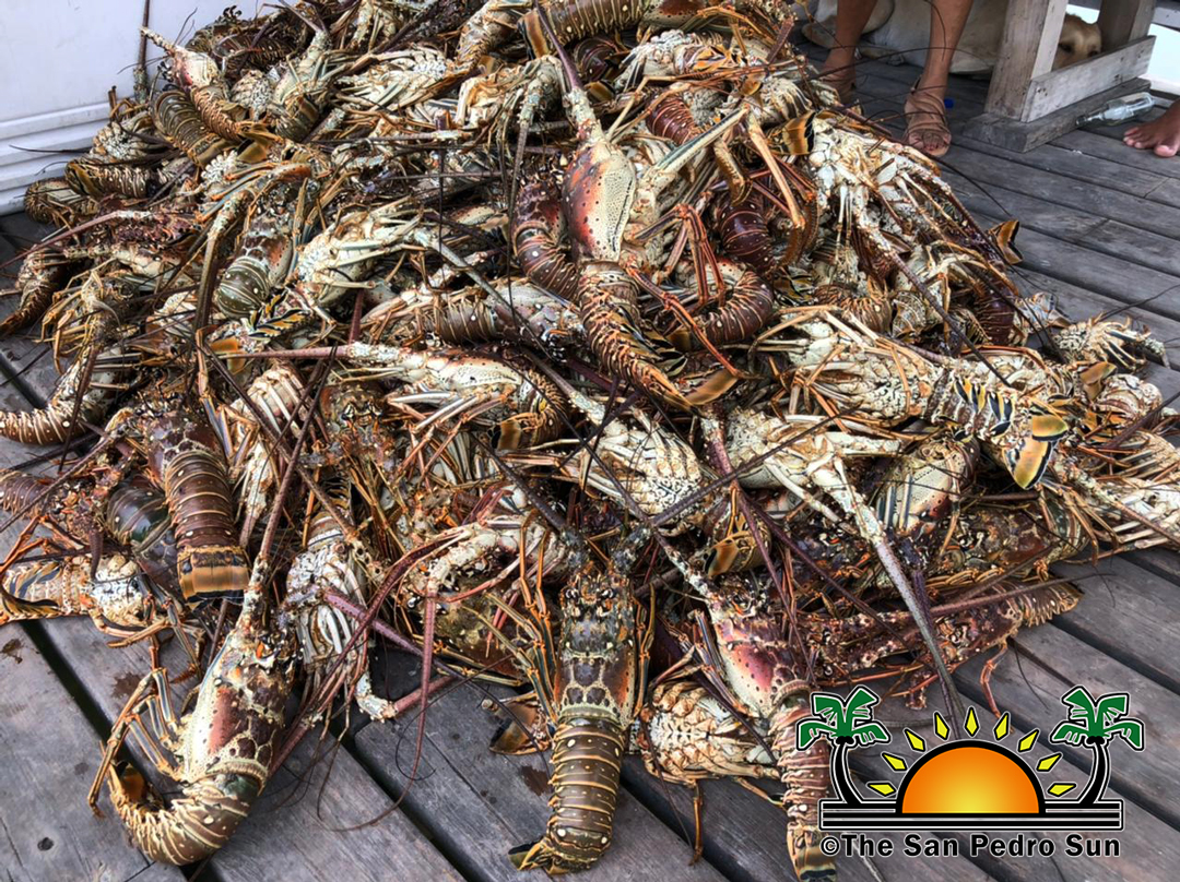 Opening of the Lobster Fishing Season - The San Pedro Sun