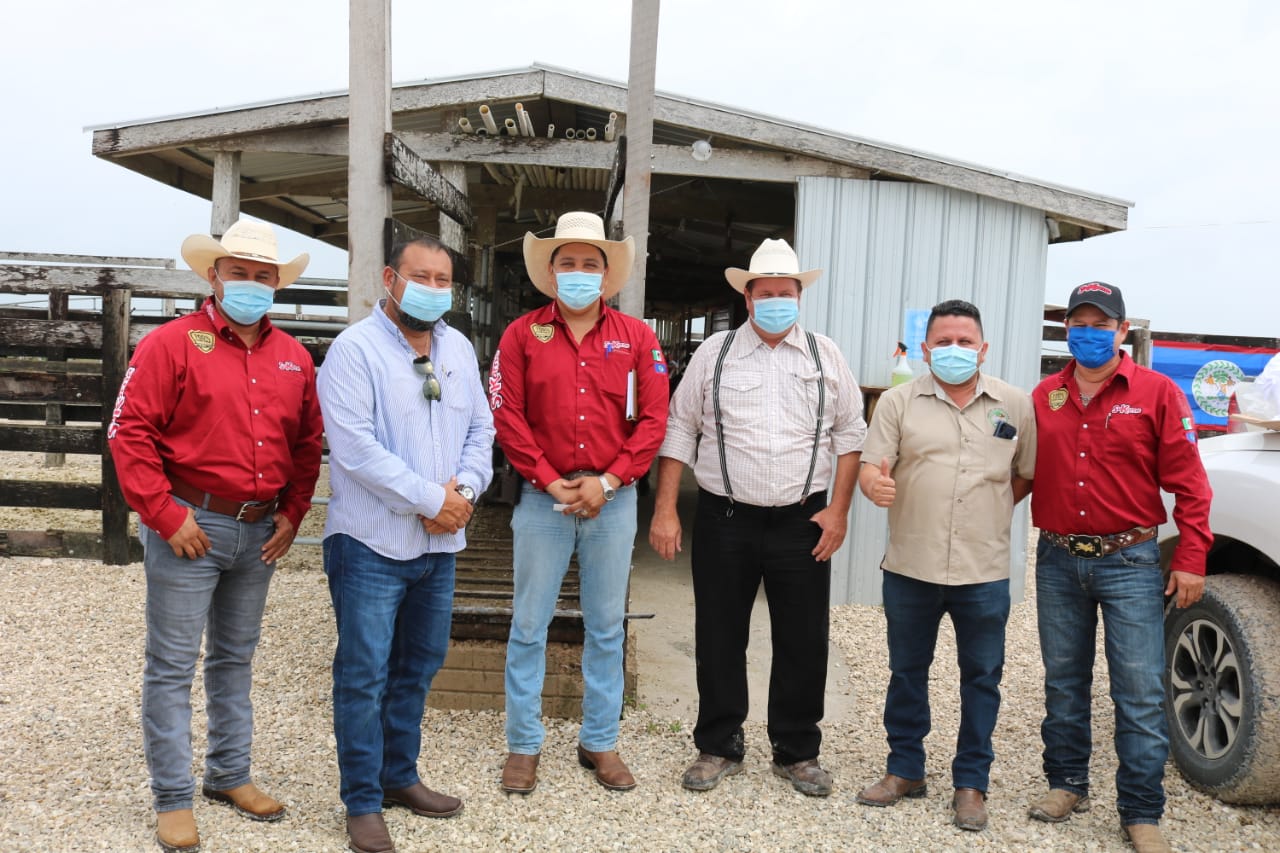Second Cattle Export Activity Held at Shipyard - The San Pedro Sun