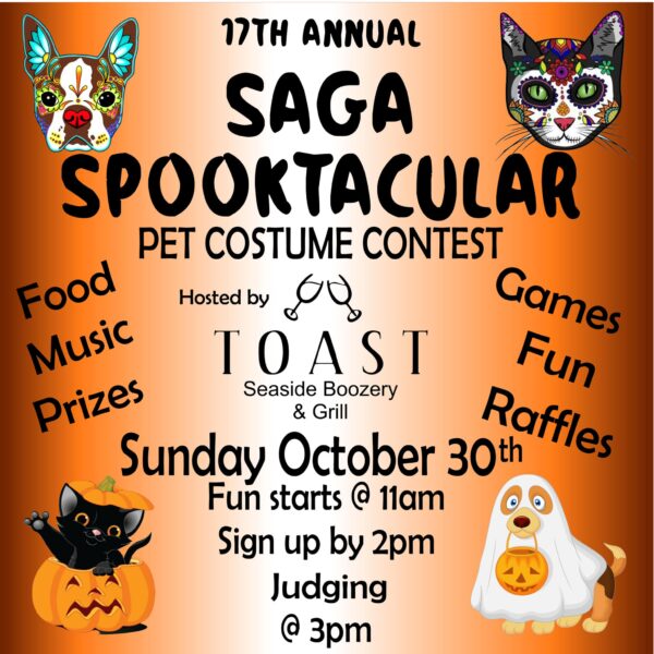 Dog and Cat Halloween Party Invites Vet or Animal Shelter